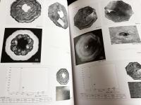日光二荒山神社中宮祠宝物館所蔵 男体山頂遺跡出土鏡の研究