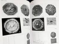 日光二荒山神社中宮祠宝物館所蔵 男体山頂遺跡出土鏡の研究