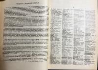 【ロシア語洋書】ロシア語連想辞典 全2巻揃
『Русский ассоциативный словарь』
