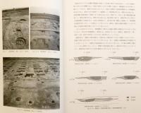 【全4冊揃い】 平城宮第一次大極殿の復原に関する研究 1-4 (奈良文化財研究所学報, 第79-82冊)
