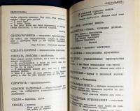 【ロシア語洋書】ロシア語卑語・罵倒語・猥語辞典 『Русский мат』