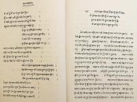【蔵文書】 精髄詳説の荘厳：『現観荘厳論』注釈書 『རྣམ་བཤད་སྙིང་པོའི་རྒྱན་བཞུགས = Rnam bshad snying po rgyan』