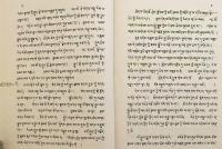 【蔵文書】 精髄詳説の荘厳：『現観荘厳論』注釈書 『རྣམ་བཤད་སྙིང་པོའི་རྒྱན་བཞུགས = Rnam bshad snying po rgyan』