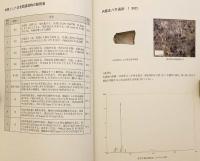 奈良県橿原市 内膳北八木遺跡・大阪府堺市 太井遺跡出土冶金関連遺物の調査