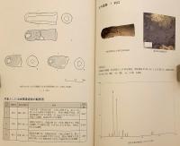 奈良県橿原市 内膳北八木遺跡・大阪府堺市 太井遺跡出土冶金関連遺物の調査