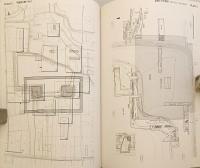 吉備池廃寺発掘調査報告 : 百済大寺跡の調査