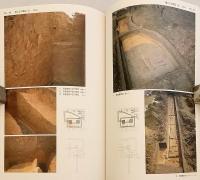 吉備池廃寺発掘調査報告 : 百済大寺跡の調査