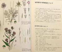 加賀能登の植物図譜