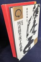 定本 川喜田半泥子作品集