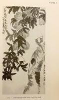 【ドイツ語洋書】 ライプツィヒ民族学博物館年報 『Jahrbuch des Museums für Völkerkunde zu Leipzig』