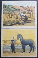 前川千帆 木版画『野の娘たち 全10枚揃』 