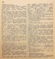 【ロシア語洋書】 ロシア語連語・語法学習辞典 約2,500項目 『Учебный словарь сочетаемости слов русского языка : около 2500 словарных статей』