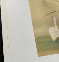 酒井抱一画集 全5冊揃(本巻全2巻・別巻「抱一上人真蹟鏡上・下/鶯邨画譜」)
