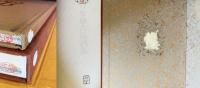 染織名品図譜 : 川島織物史料館蔵 全2冊【本冊・川島織物名作選】