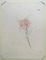 【手彩版画1葉付】大野俶嵩画集：花に祈る 特装本