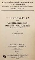【ドイツ語洋書 / 図版372点】 ドイツ領ニューギニア産ラン科植物図譜 『Figuren-Atlas zu den Orchidaceen von Deutsch-Neu-Guinea』