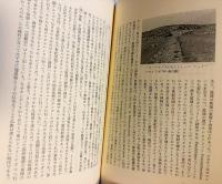 大乗仏典 中国・日本篇 全30巻揃
