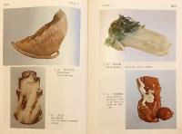 【英語・中国語洋書】 中国文化美術の至宝：国立故宮博物院ハンドブック 『Chinese cultural art treasures : National Palace Museum illustrated handbook = 中國文物圖説 : 國立故宮博物院手冊』