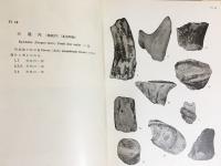 正倉院薬物　