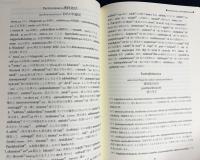 パリッタティーカーニッサヤ：護経復註依怙