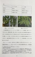 南伝上座仏教における菩提樹崇拝の研究