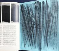 【リトグラフ3点入・フランス語洋書】20世紀 1964年12月号 第24号『XXe siècle』