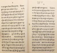 【蔵文書】 ゲルク派『菩提道次第「速やかな道」の前行読誦次第：「吉祥なる人々の喉の宝飾」および上師口伝「吉祥の雨」』 『བྱང་ཆུབ་ལམ་གྱི་རིམ་པའི་དམར་ཁྲིད་མྱུར་ལམ་གྱི་སྔོན་འགྲོ་དེ་དག་འདོན་གྱི་རིམ་པ་ཁྱེར་བདེ་བཀླག་ཆོག་སྐལ་བཟང་མགུལ་རྒྱན་དང་འདིའི་ཟབ་ཁྲིད་མན་ངག་བླ་མའི་ཞལ་ལུང་དགེ་ལེགས་ཆར་འབེབས་ཞེས་བྱ་བ་བཞུགས་སོ།།』