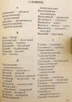 【ロシア語洋書】 現代ロシア語 パロニム辞典 (類音異義語辞典)  『Словарь паронимов современного русского языка』