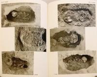 【英語洋書 / 非売品】 Telul Eth-Thalathat IV : The Excavation of Tell II, The Fifth Season = テル・サラサート IV：二号丘の発掘 (第5シーズン)
