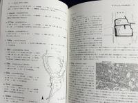 都道府県別日本の中世城館調査報告書集成 / 近畿地方の中世城館 第15巻【4(兵庫・和歌山)】