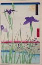 歌川広重 木版画『名所江戸百景：堀切の花菖蒲』