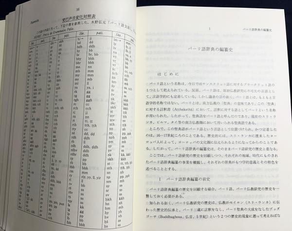 雲井昭善 パーリ語佛教辞典 山喜房仏書林 1997年 正誤表付 パーリ語仏教辞典 | 雲井昭善 著 | 山喜房仏書林 | ¥9,800 - 日本の