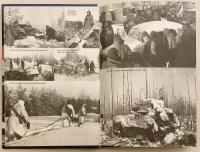 【ロシア語洋書】 1939–1940年の冬戦争：ソ連内務人民委員部 (NKVD) 公文書集 『Зимняя война 1939-1940 гг. : в документах НКВД』