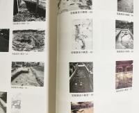 平安時代庭園に関する研究 1 : 平成18年度 古代庭園研究会報告書