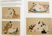 【英語洋書】春画の見かた : 10のポイント (春画十解) 『Shunga : ten questions and answers』
