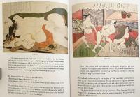 【英語洋書】春画の見かた : 10のポイント (春画十解) 『Shunga : ten questions and answers』