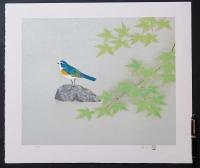 上村淳之 リトグラフ『瑠璃鶲』限定500部　非売品(H.C.版)