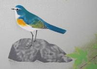 上村淳之 リトグラフ『瑠璃鶲』限定500部　非売品(H.C.版)