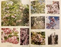 福井の樹木 : 福井県樹木誌 : 行幸啓記念