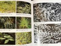 福岡県植物目録 既刊全2巻揃