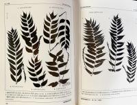福岡県植物目録 既刊全2巻揃