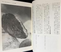 田主丸町誌 全3巻揃 (川の記憶・ムラとムラびと 上下)