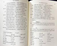 梵語仏教文献の研究