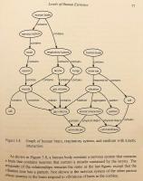 【英語洋書】心, 脳, 捉えがたい魂：認知科学と宗教の人間観 『Mind, brain and the elusive soul : human systems of cognitive science and religion』