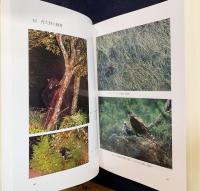 夜久野町史 第1巻 (自然科学・民俗編)