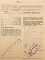 【英語洋書】 胎児心拍数モニタリング 『Fetal heart rate monitoring』