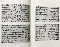 燉煌出土 于闐語秘密経典集の研究