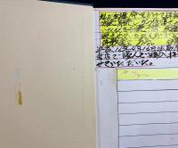 教行信証の宗教構造 : 真宗教義学体系