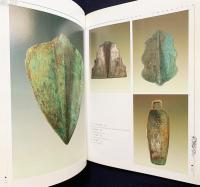 中文書 探秘撫仙湖：尋找失去的古代文明