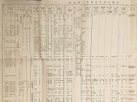 【付図1枚】 梵語仏典の諸文献 (大乗仏教成立論序説 . 資料篇)  1981年